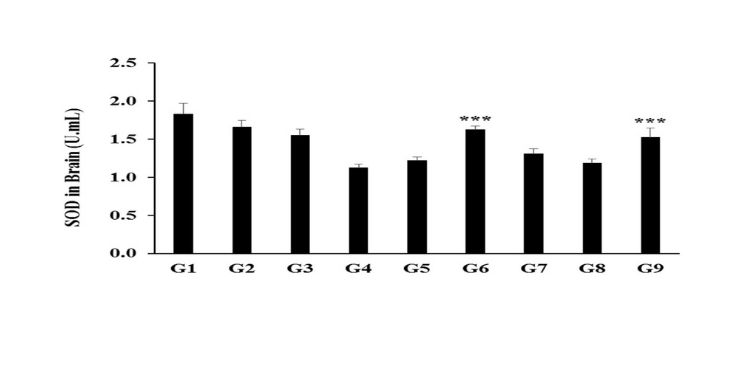 International Journal of Global Health-Antioxidant