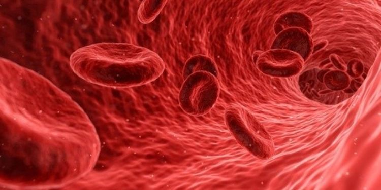 Journal of Hematalogy and Oncology Research-Diagnosis