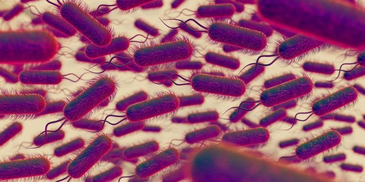  Journal of Parasite Research - Intestinal Parasitic Helminths