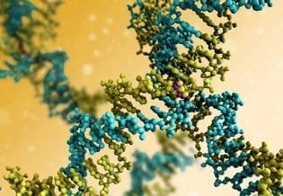 Proteomics and Genomics Research